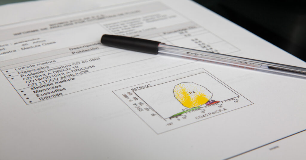 作成した資料に目を通している